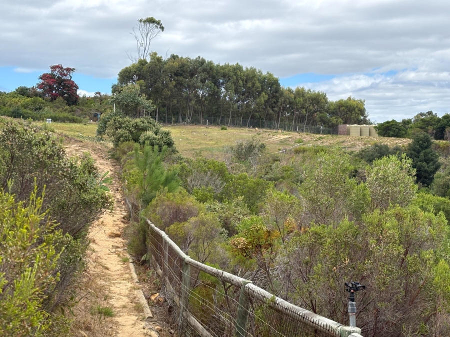 To Let 1 Bedroom Property for Rent in Goedehoop Estate Western Cape